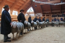 Altersklasse 6