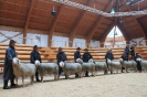 Altersklasse 2