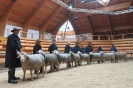 Altersklasse 3