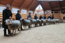 Altersklasse 4