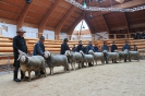 Altersklasse 5