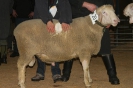 Wollsieger: DE 0109 9 648 0761 FR