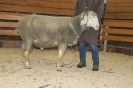 Kat25: DE 0109 9 572 0771 T, W8/B8/AE7, Gewicht 142 kg