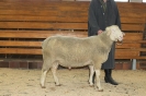 Kat27: DE 0109 9 648 1128 FR, W8/B8/AE7, Gewicht 131 kg