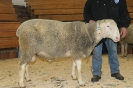 Kat30 DE 0109 9 678 0922 SI, W8/B7/AE7, Gewicht 131 kg