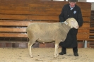 Kat34: DE 0109 9 176 0820 S, W8/B8/AE8, Gewicht 134 kg