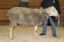 Kat36: DE 0109 9 678 0945 SI, W8/B8/AE7, Gewicht 147 kg