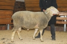 Kat39: DE 0109 9 761 0212 OB, W8/B8/AE7, Gewicht 139 kg