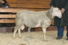 Kat42: DE 0109 9 471 0845 K, W7/B8/AE8, Gewicht 127 kg