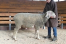 Kat45: DE 0109 9 568 0755 RL, W8/B8/AE7, Gewich 123 kg