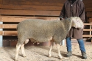Kat48: DE 0109 9 568 0758 RL, W8/B8/AE7, Gewicht 125 kg