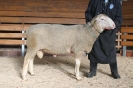 Kat54: DE 0109 9 176 0805 S, W8/B8/AE8, Gewich 134 kg