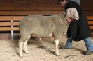 Kat57: DE 0109 9 678 0977 SI, W8/B8/AE7, Gewich 115 kg