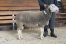 Kat59 (4.Res.): DE 0109 9 199 0513 KR, W8/B8/AE7, Gewicht 118 kg