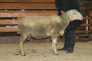 Kat62 (5.Res.): DE 0109 9 761 0219 OB, W8/B8/AE7, Gewich 103 kg