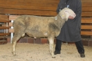 Kat70: DE 0109 9 770 0524 F, W8/B7/AE7, Gewicht 122 kg