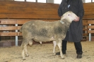 Kat75: DE 0109 9 770 0522 F, W8/B8/AE8, Gewicht 117 kg