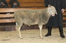 Kat76 (2.Res.): DE 0109 9 669 0916 BS, W7/B8/AE7, Gewicht 105 kg