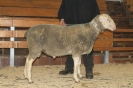 Kat77: DE 0109 9 272 1039 RR, W8/B8/AE7, Gewicht 104 kg