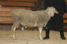 Kat79: DE 0109 9 669 0925 BS, W8/B8/AE7, Gewicht 122 kg