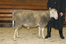 Kat83: DE 0109 9 669 0917 BS, W7/B9/AE7, Gewicht 126 kg