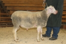 Kat84: DE 0109 9 471 0865 K, W8/B8/AE7, Gewicht 108 kg