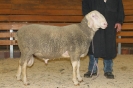 Kat20 (1. Res.): DE 0109 9 199 0506 KR, W8/B7/AE7, Gewicht 128 kg