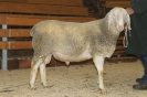 Kat 82: DE 0109 9 471 0866 K, W8/B8/AE8, Gewicht 107 kg_1