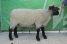 Kat 186: DE 0109 9 225 0132 ST: Robert + Erwin Straßl, Arnstorf, geb. 10.02.2016, W7/B8/ÄE8, Gewicht 118 kg