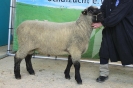 Kat 165: DE 0109 9 236 0123 JA: Christian Jahrstorfer, Arnstorf, geb. 27.12.2015, W8/B8/ÄE7, Gewicht 118 kg