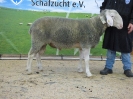 Kat 57: DE 0109 9 678 1136 SI, geb. 15.10.2016, W8/B8/ÄE8, Gewicht 137 kg