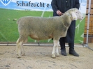 Kat 38: DE 0109 9 648 1273 FR, geb. 09.08.2016, W8/B8/ÄE7, Gewicht 131 kg