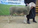 Kat 79: DE 0109 9 568 1046 RL, geb. 18.12.2016, W7/B8/ÄE7, Gewicht 109 kg