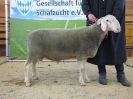 Kat 86: DE 0109 9 568 1042 RL, geb. 23.12.2016, W8/B8/ÄE8, Gewicht 105 kg