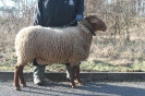 Kat 246: DE 0109 9 612 0140 BO