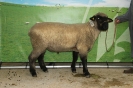 Kat 154: DE 0109 9 225 0170 ST, 16.03.2017, W7/B8/ÄE8, Gew. 104 kg