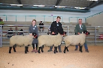 2023 Bilder der 1A Böcke